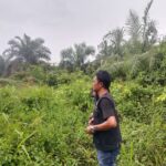 IMG-20250503-WA0038